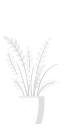File:Plant 2.png