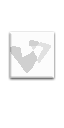 File:Painting.png