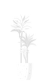 Thumbnail for version as of 06:56, 22 September 2026