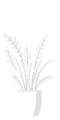 Thumbnail for version as of 06:56, 22 September 2026
